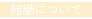 organization